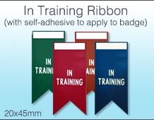 In Training Ribbon